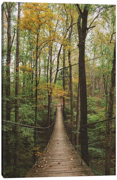Autumn Walk In The Woods Canvas Art Print - Ann Hudec
