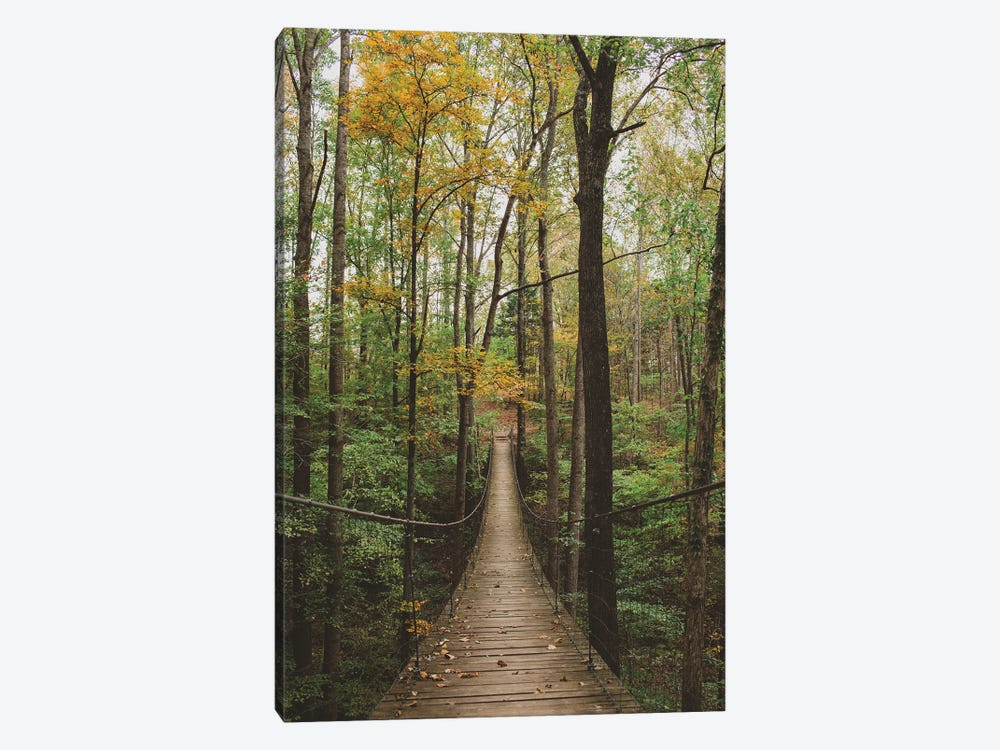 Autumn Walk In The Woods by Ann Hudec 1-piece Canvas Art