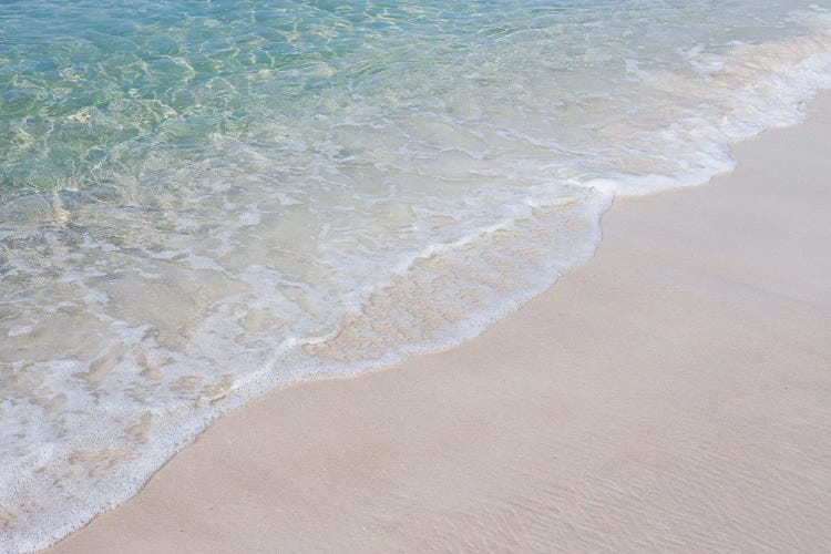 Castaway X Florida Coast