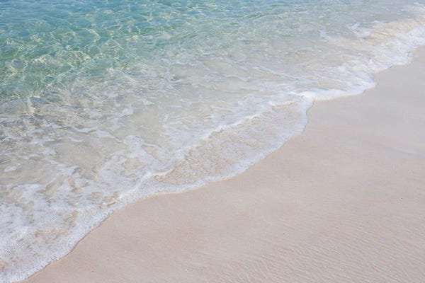 Ann Hudec: Castaway X Florida Coast by Ann Hudec