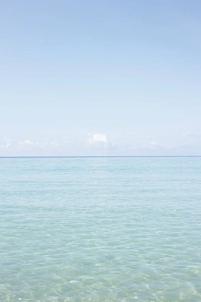 Infinity X Florida Coast
