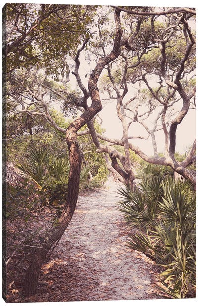 Path To The Beach X Florida Gulf Coast Canvas Art Print - Ann Hudec