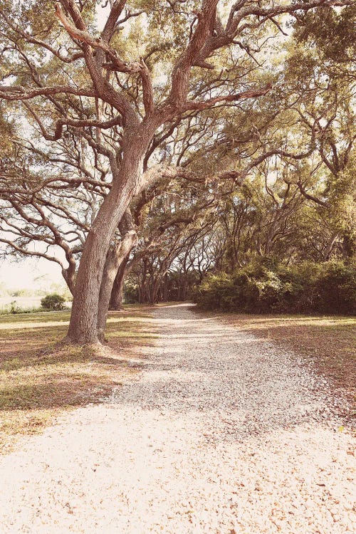 Old Florida II by Ann Hudec wall art