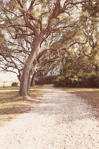 Ann Hudec: Old Florida II by Ann Hudec