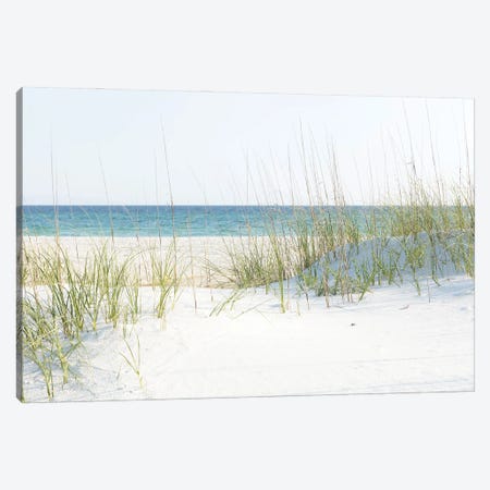 Grayton Beach Florida Canvas Print #AHD354} by Ann Hudec Canvas Print