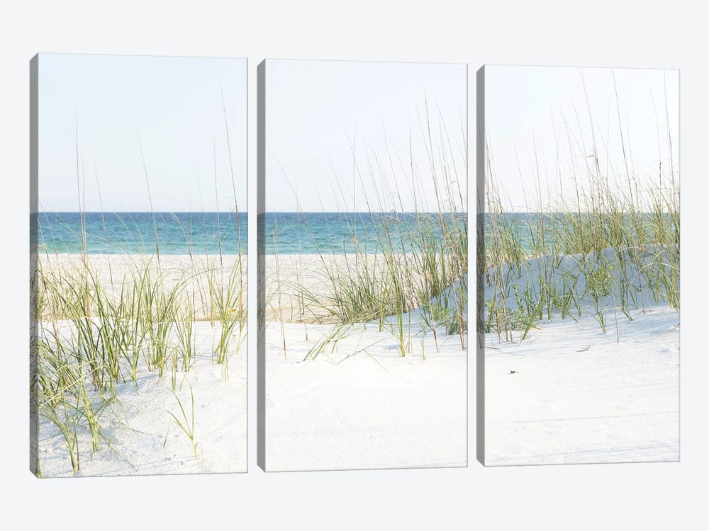 Grayton Beach Florida by Ann Hudec 3-piece Canvas Print