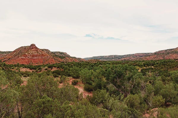 Ann Hudec: Palo Duro Canyon Texas by Ann Hudec