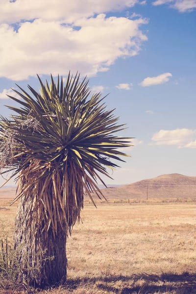 Ann Hudec: Desert Day by Ann Hudec