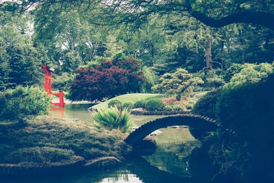 Brooklyn Botanic Gardens NYC by Ann Hudec canvas print