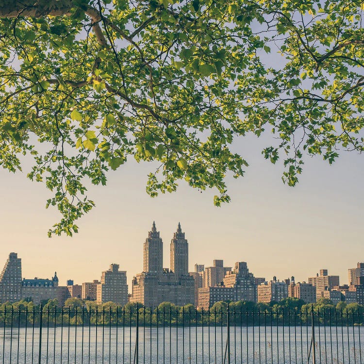 Central Park Sunset NYC