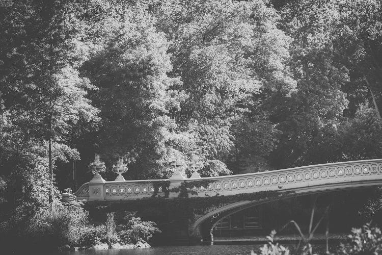 Central Park Bow Bridge