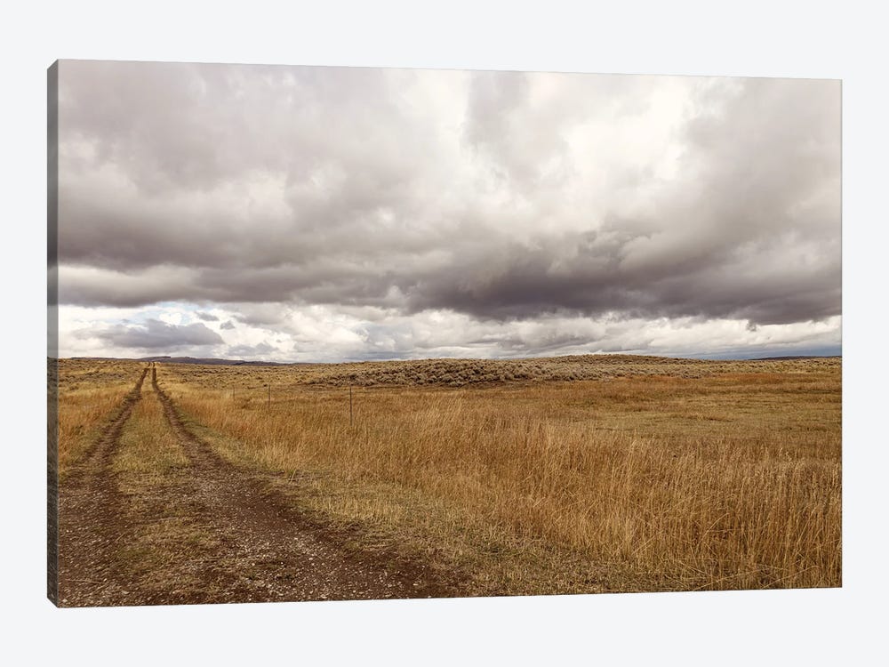 Storm Clouds Over Montana Prairie by Ann Hudec 1-piece Canvas Art Print