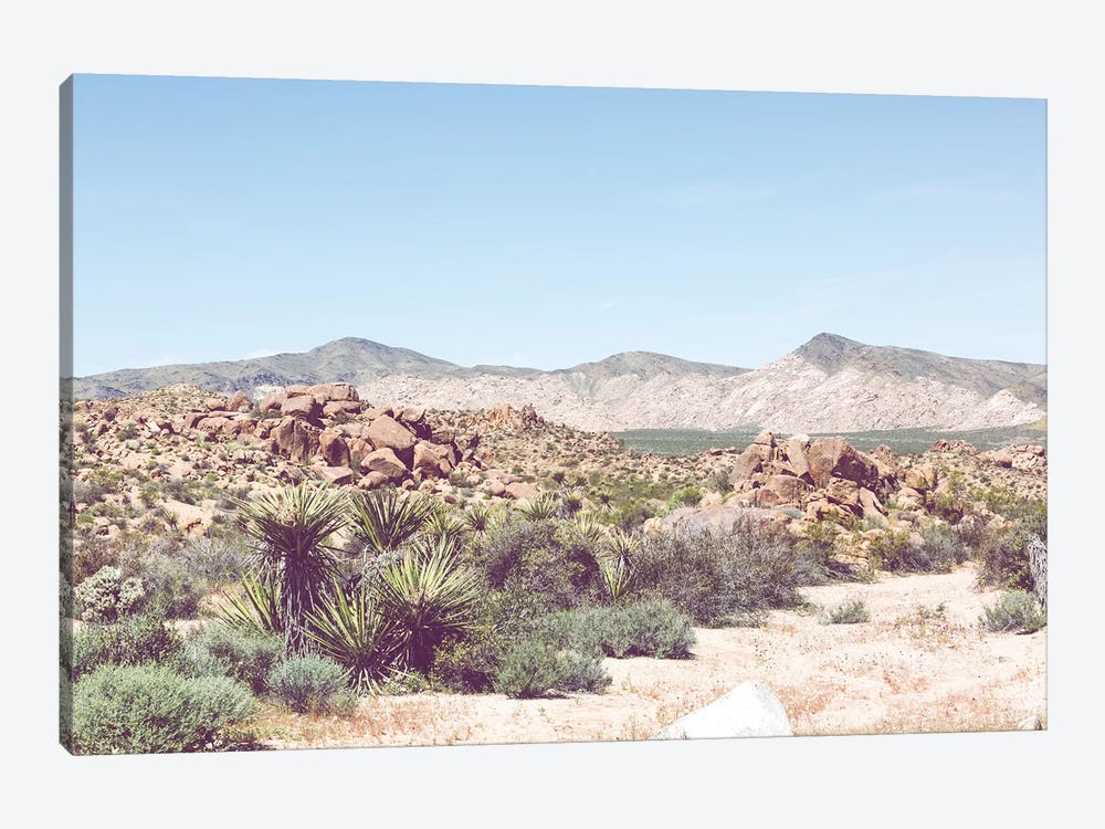 Desert Hues by Ann Hudec 1-piece Canvas Artwork