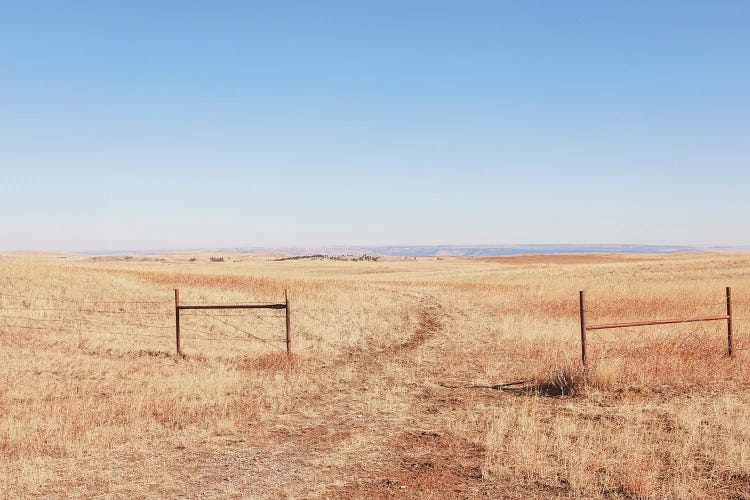 Open Range Montana