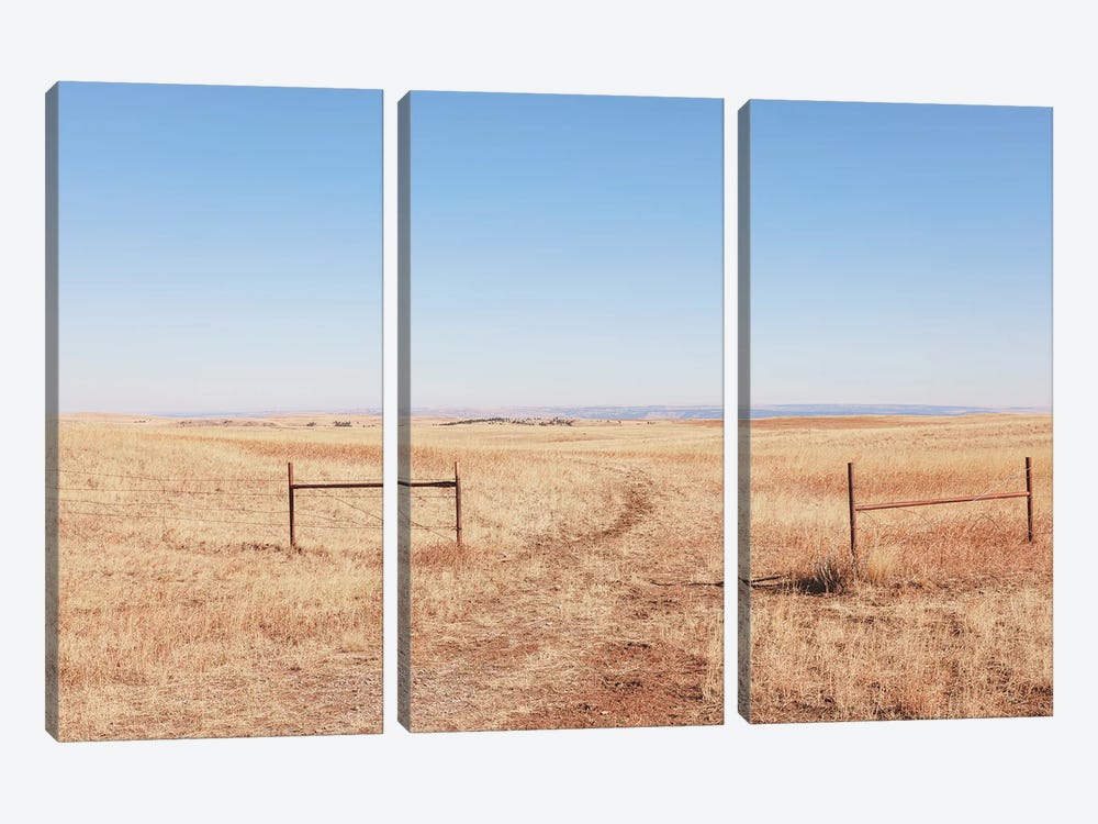 Open Range Montana by Ann Hudec 3-piece Canvas Artwork