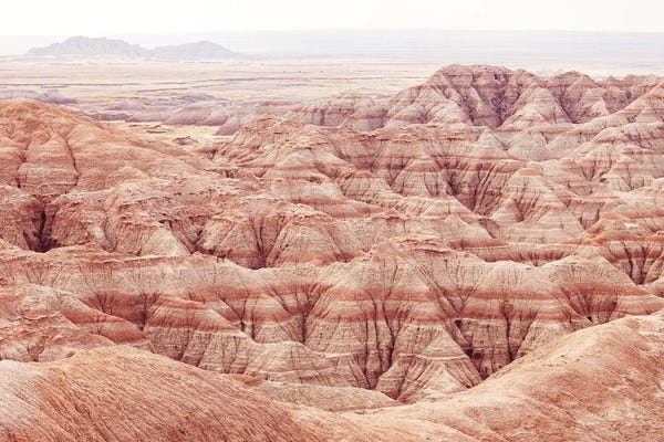 Ann Hudec: Lone Bighorn Sheep At Badlands National Park South Dakota by Ann Hudec