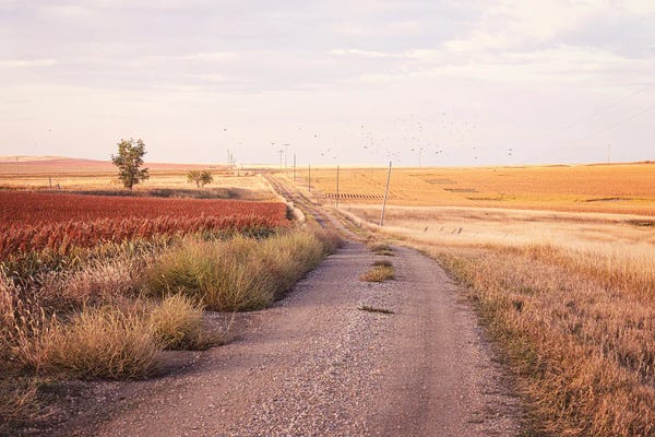 Ann Hudec: Autumn In South Dakota by Ann Hudec