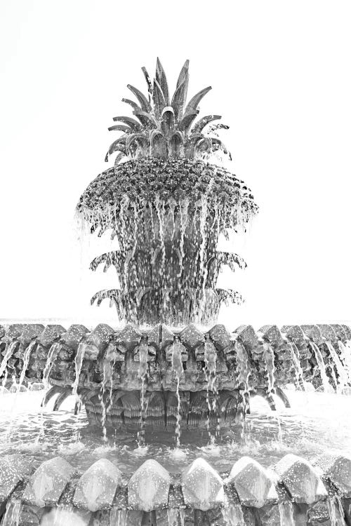 Pineapple Fountain X Charleston South Carolina