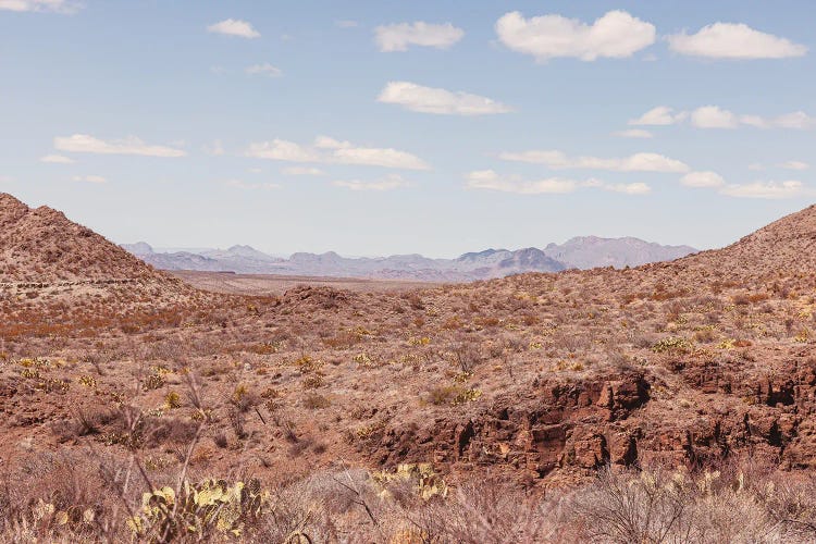 Big Bend National Park Vista II