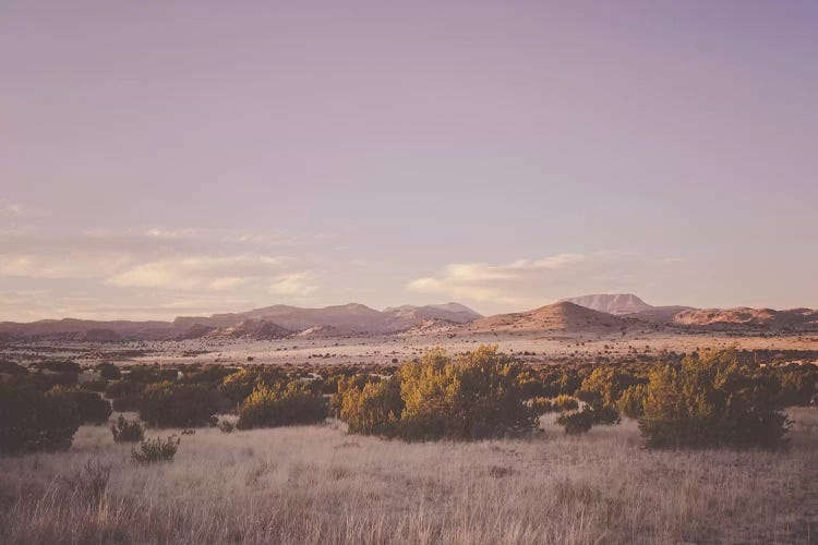 Desert Sunset