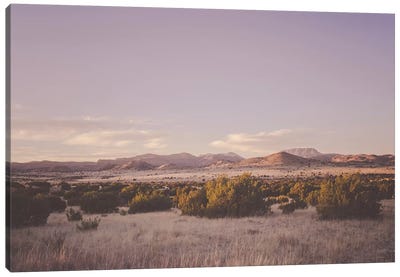Desert Sunset Canvas Art Print - Vintage Styled Photography