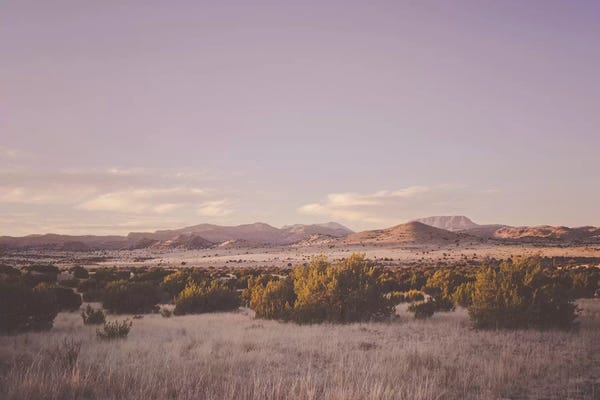 Ann Hudec: Desert Sunset by Ann Hudec