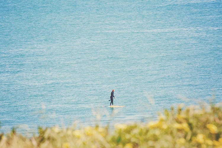 Santa Barbara Surfer by Ann Hudec wall art