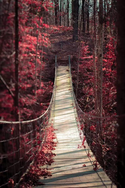 Ann Hudec: Enchant by Ann Hudec