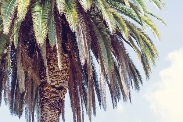 Ann Hudec: Hollywood by Ann Hudec