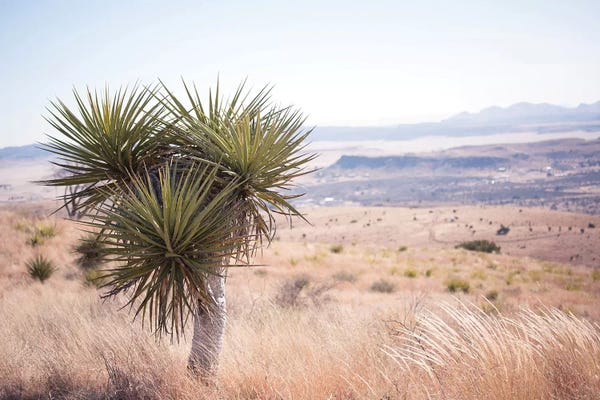 Ann Hudec: Home On The Range by Ann Hudec