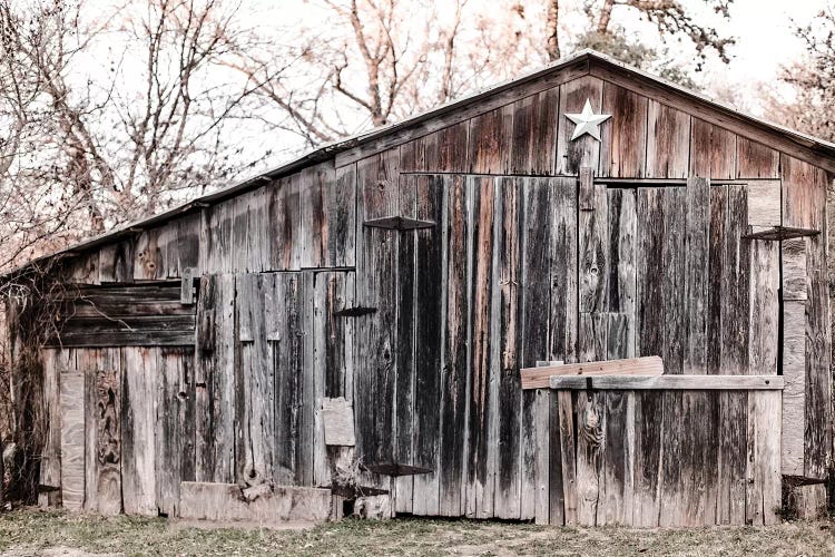 Lone Star Barn by Ann Hudec wall art