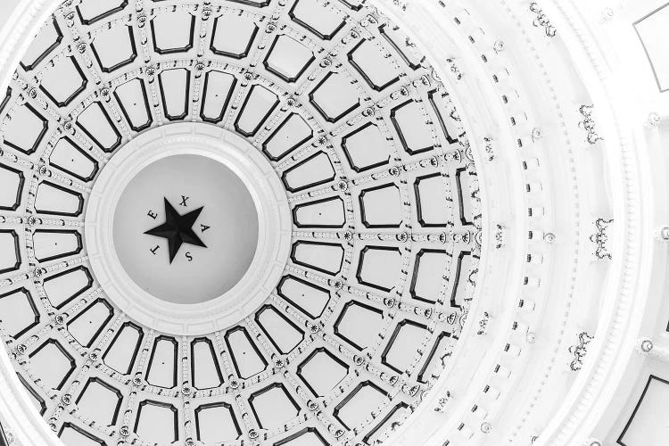 Lone Star III by Ann Hudec wall art