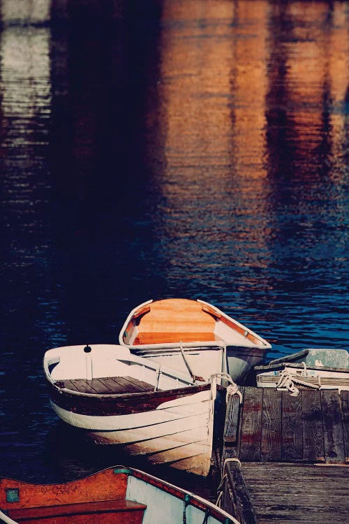Maine Rowboats by Ann Hudec wall art