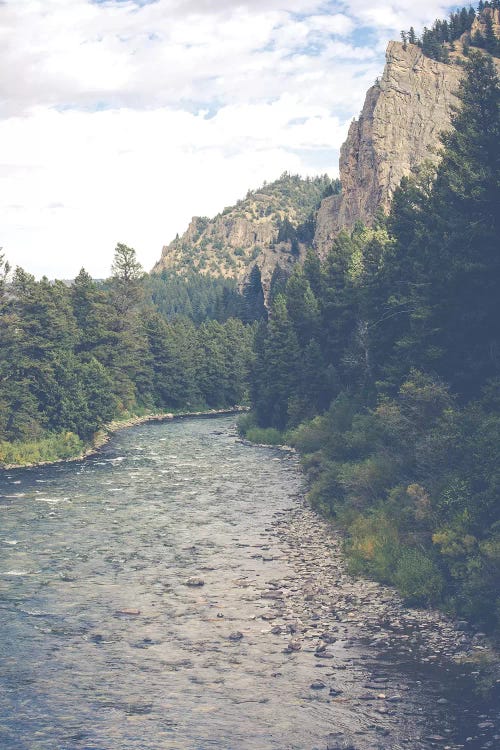 Montana Wild by Ann Hudec wall art
