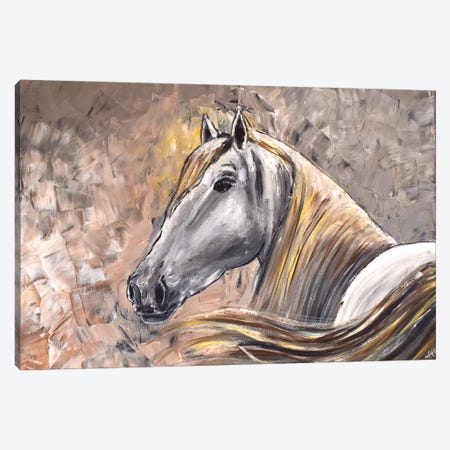 Graceful Horse Canvas Print #AHI127} by Aisha Haider Canvas Print