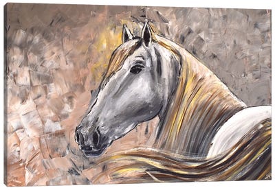 Graceful Horse Canvas Art Print - Aisha Haider