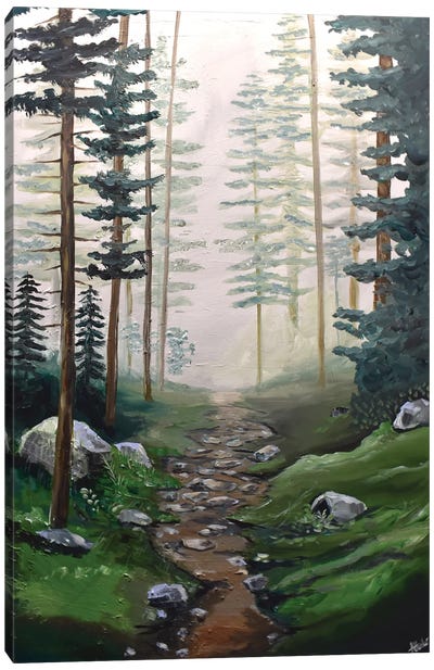 Misty Pine Trees Canvas Art Print - Aisha Haider