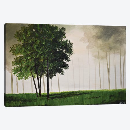 One Green Tree Canvas Print #AHI23} by Aisha Haider Canvas Art Print