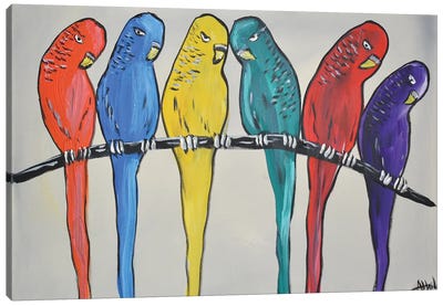 Rainbow Birds III Canvas Art Print - Parakeet Art