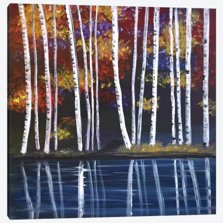 Birch Trees Canvas Print #AHI9} by Aisha Haider Canvas Print