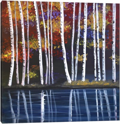 Birch Trees Canvas Art Print - Aisha Haider