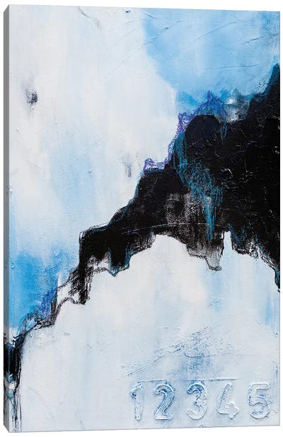 Broke Black Mountain Canvas Art Print - Julie Ahmad