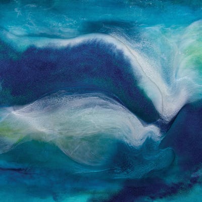 Midnight Swim by Julie Ahmad canvas print