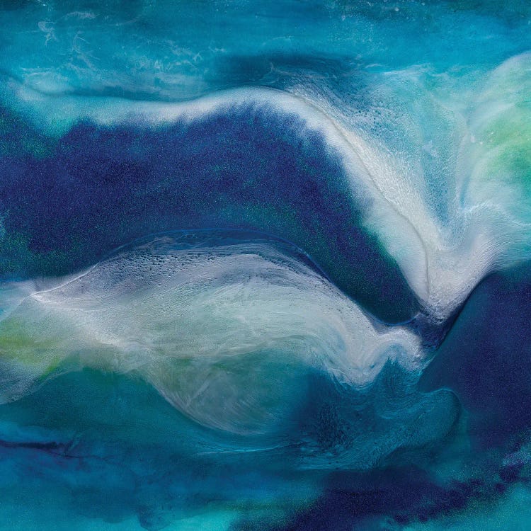 Midnight Swim by Julie Ahmad wall art