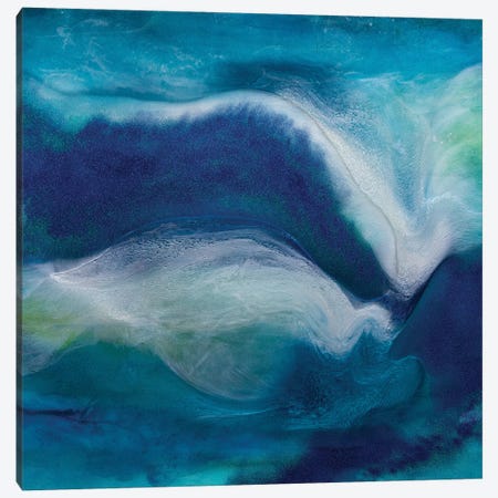 Midnight Swim Canvas Print #AHM175} by Julie Ahmad Art Print