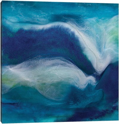 Midnight Swim Canvas Art Print - Julie Ahmad