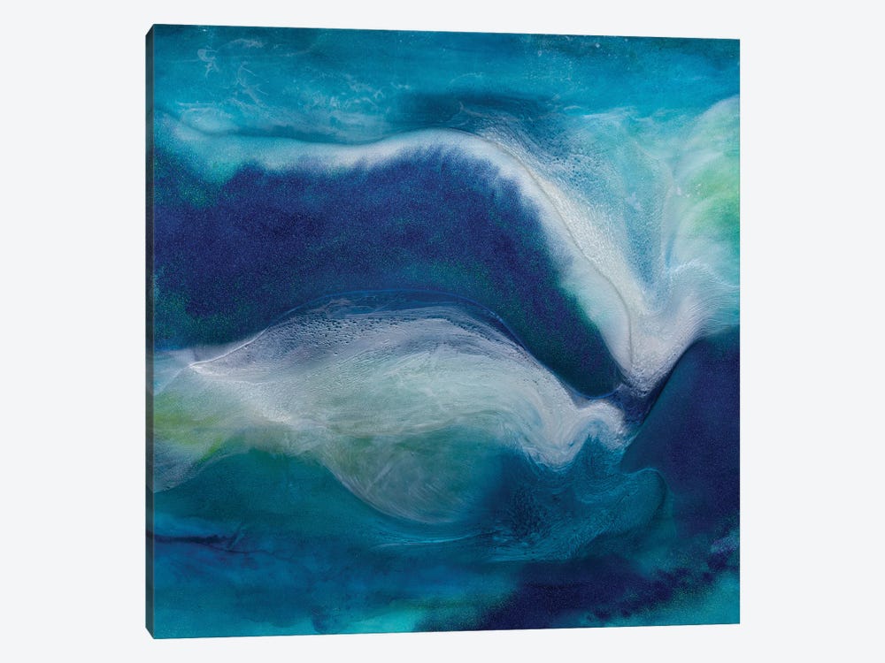 Midnight Swim by Julie Ahmad 1-piece Canvas Wall Art