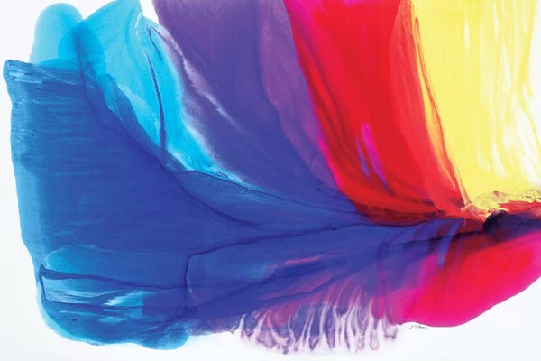 Blue: Not So Fast by Julie Ahmad