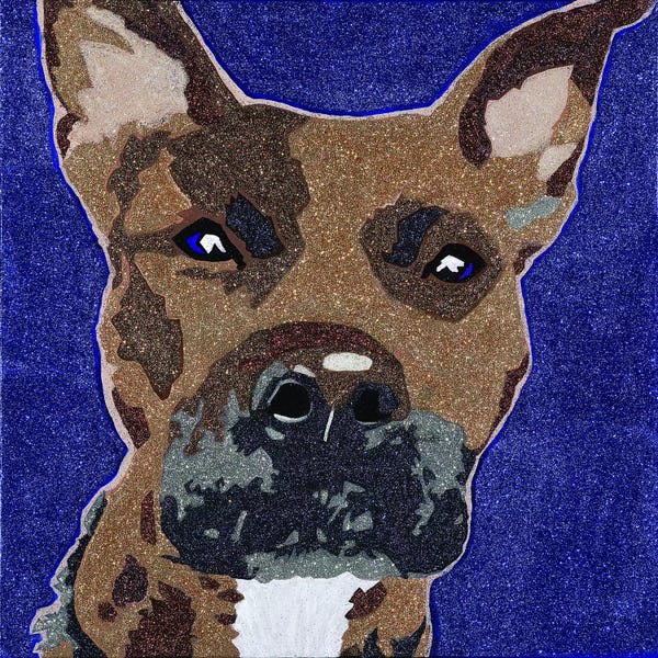 Pit Bulls: Prince The Pit by Julie Ahmad