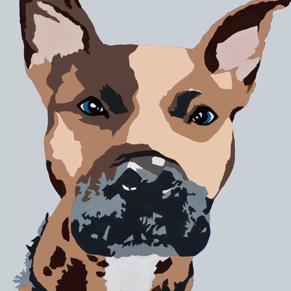 Pit Bulls: Prince The Pit On Gray by Julie Ahmad